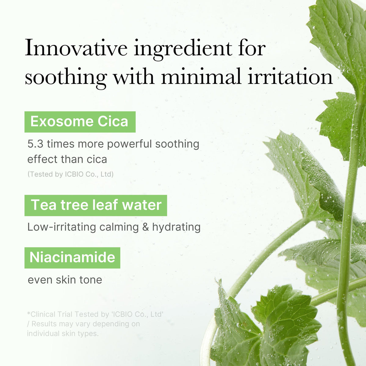 Exosome Cica Calming Toner Pads X6